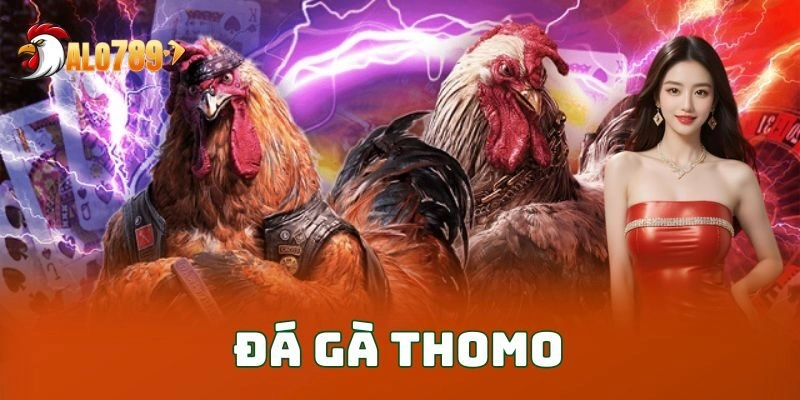 Đá Gà Thomo ALO789